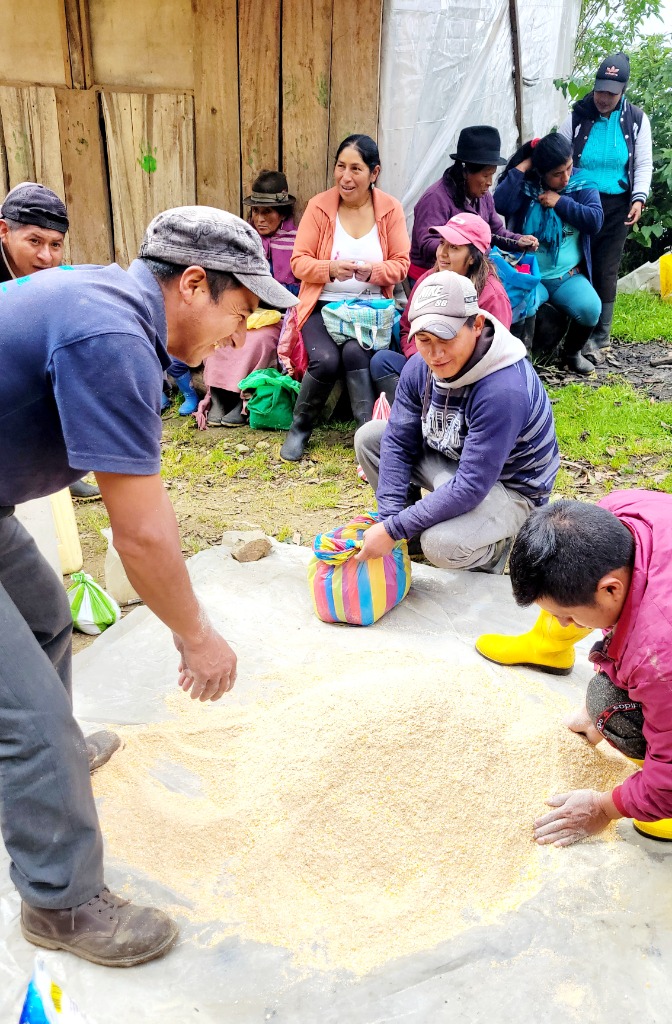 Agricultura_CZ3's tweet photo. 📌#Tungurahua | ¡Motivamos el cuidado animal!
Capacitamos a productores de la parroquia #Ulba del cantón #Baños sobre la correcta elaboración de bloques nutricionales para bovinos. 🐮
El insumo es un aporte de energía, proteína y minerales para la salud productiva los animales. https://t.co/yALBoeJVE4