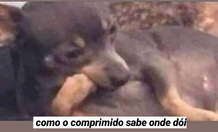 meus pensamentos da madrugada