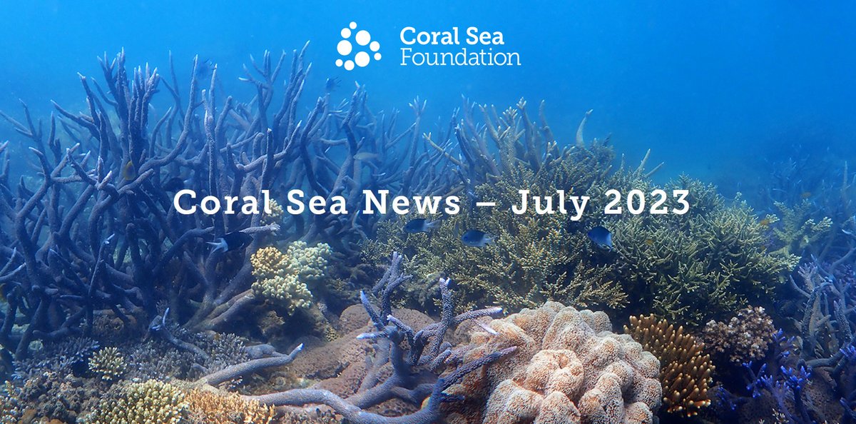 Welcome to the latest edition of Coral Sea News!
📷coralseafoundation.net/coral-sea-news…
We are excited to share some of the highlights of the Coral Sea Foundation's marine conservation work around the Great Barrier Reef and Papua New Guinea over the first half of 2023.
#coralseafoundation