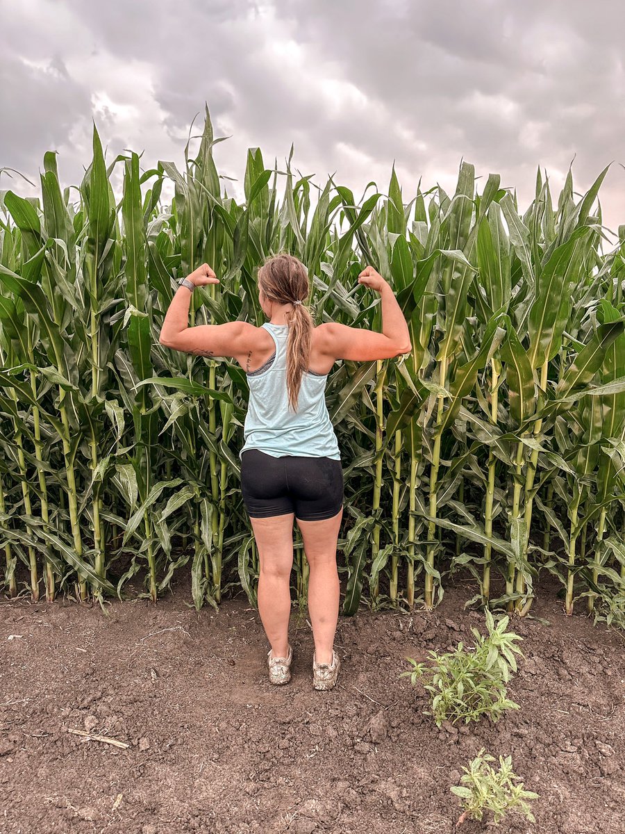 thatfitagvocate's tweet photo. The corn ain’t the only thing growing this summer… 😎💪🏼
NK0748 looking phenomenal in southwest Minnesota. We’ll be seeing tassels real soon. Really excited to see how this variety yields out compared to last year’s dryyyy season that still did really well.
#NKPartner @NKSeeds https://t.co/8KPAgFwhHn