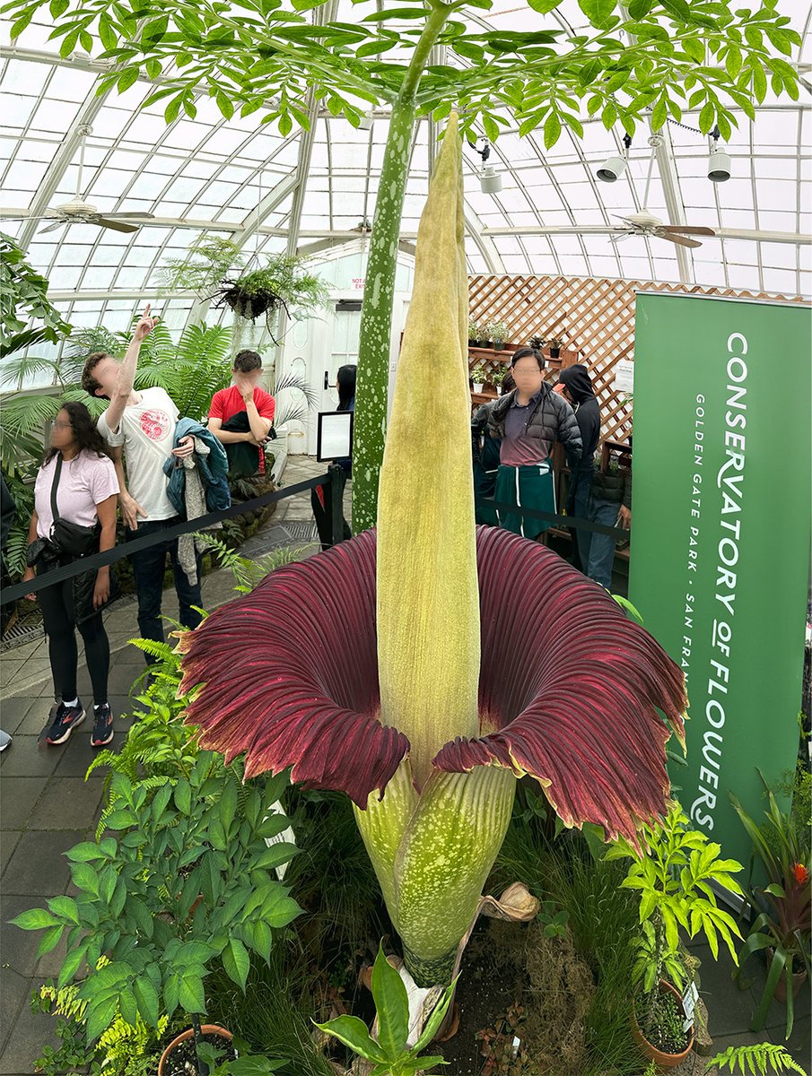 Stephen Johnson tweet media