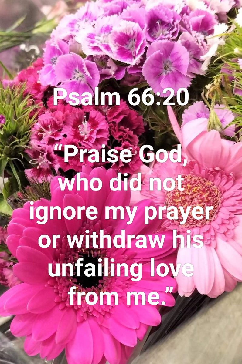 MichellePoet's tweet photo. #prayers #prayerrequest #love #light #blessed #blessedandgrateful #blessedandthankful #GodBless #hope #faith #guidance #mercy #grace #protection #bible #bibleverse #art #photoart #michellemorris #flowerphotography #photooftheday #Creator #photoartist #flowerpetals #Flowers #NFT https://t.co/WXnfFwFdyO