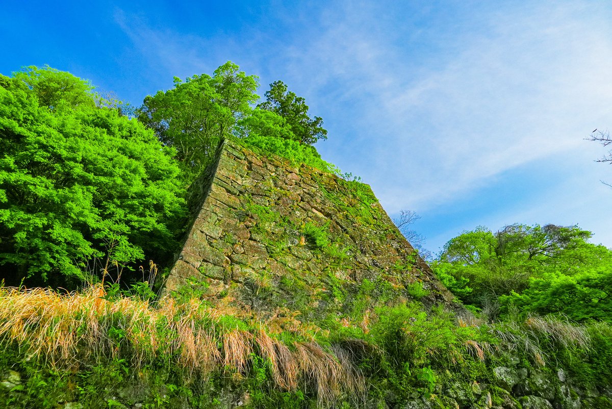人吉城

この石垣が心落ち着きます
朴訥な侘び感がいいなあ

#人吉城 #hitoyoshijo
#城 #castle
#熊本 #kumamoto
#旅行 #travel #trip
