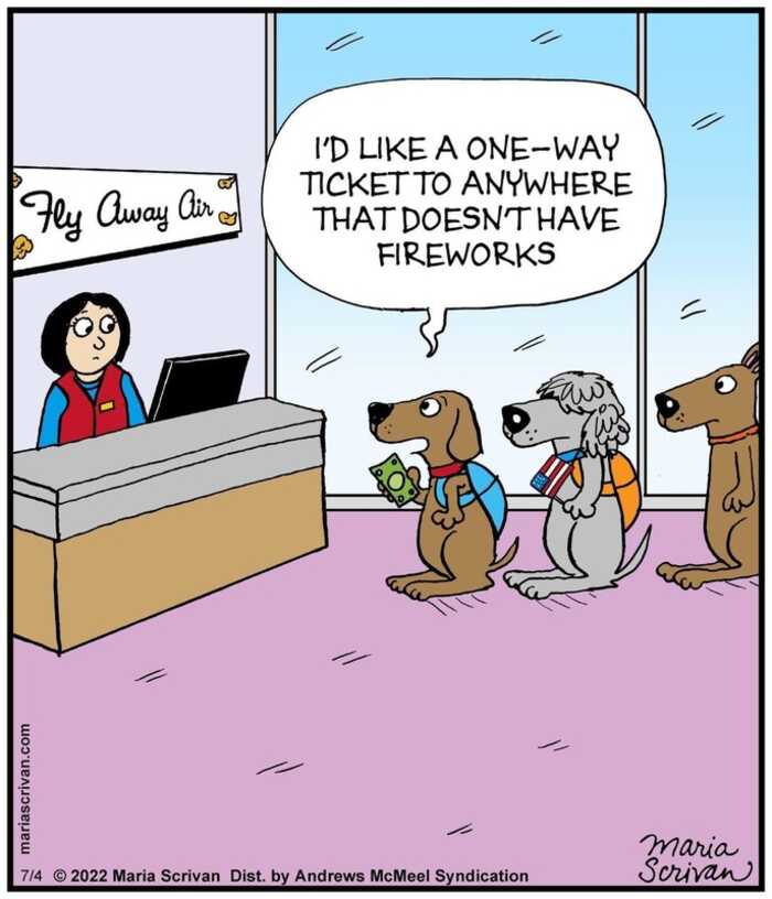 #dodo#dogs#Cats#adoptadognearme #adoptables