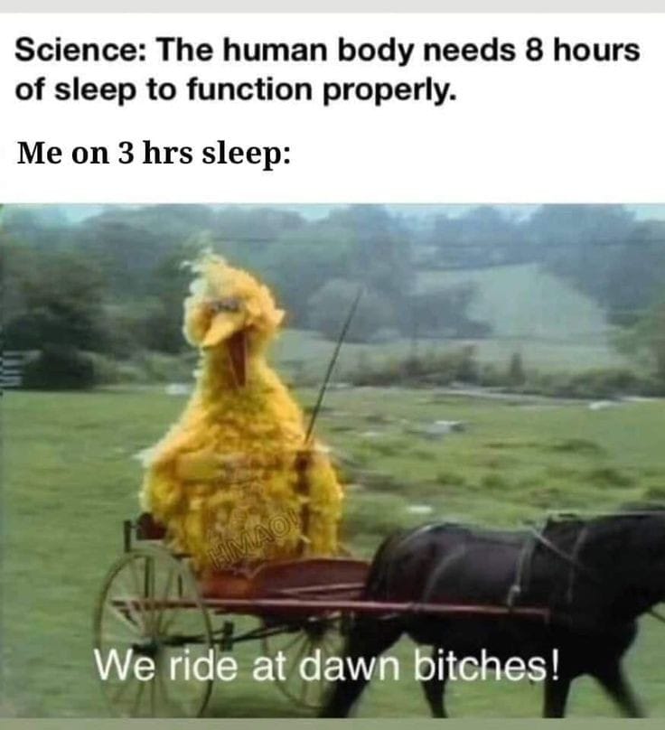 NaomiG_Writes's tweet image. My approach to sleep while working on my book...

#writerproblems #WritingCommunity #CampNaNoWriMo #nanowrimo