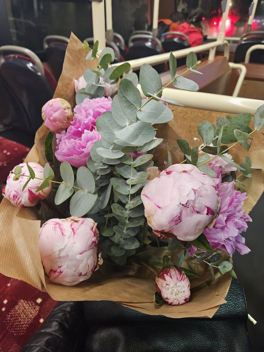 Claire Adams tweet media