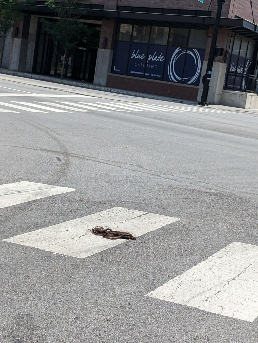 bkachinsky's tweet photo. Pedestrians Beware 👀 

Crosswalk #tumbleweave 

#chicago 
#dontwalk
#run https://t.co/8Wxjqm8bru