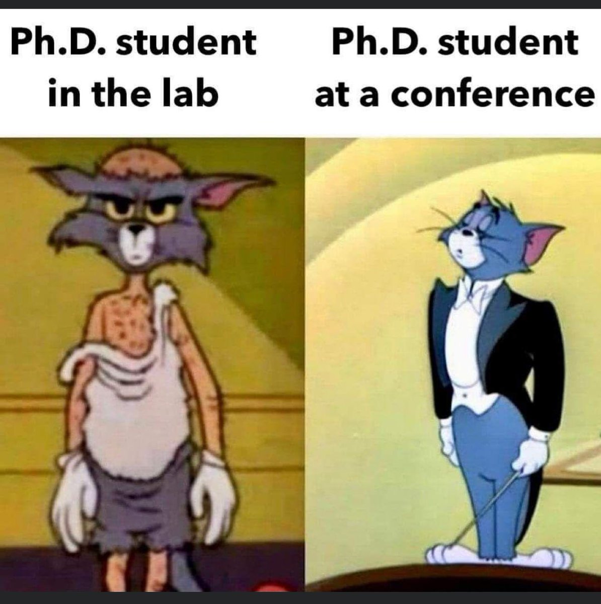 何灵尘 Lingchen He tweet media