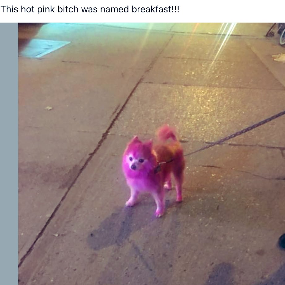 xXAniKadavverXx's tweet image. “fly down here little angel, come play in the dark….what? are ya scared of the shadows?”                                                        #ประชุมสภา #gorecore #BigFloppa #Coldplay #4thofJuly #кровь #realgorecoreexclusives #scenekid #rawring20s