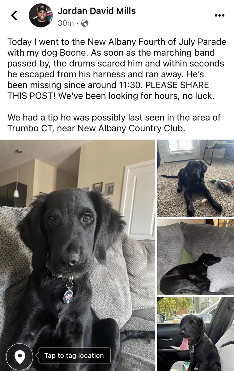 WarrPat's tweet photo. 🚨 New Albany area, please be on the lookout for my friend’s dog (name is Boone). Ran off on him during the Fourth of July parade around 11:30.

Please retweet, share with anyone in the surrounding area of New Albany, and let me know anything you may find out or see! https://t.co/lRJondituo