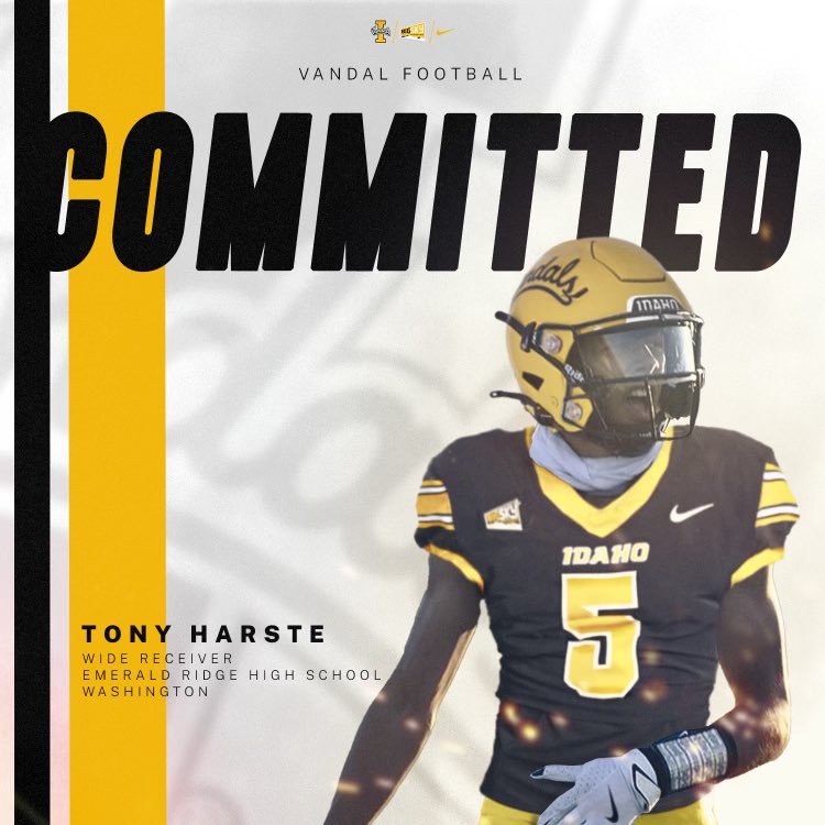 Tony Harste tweet media