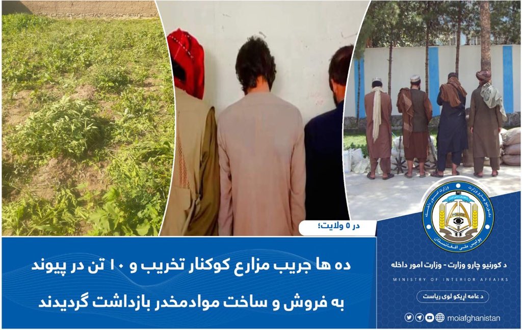 FarahMogahid's tweet photo. #Achievements #Law_Order IEA❣️
The anti-narcotics police #cleared dozens of acres of land in #MaidanWardak & #ParwanProvinces from the existence of poppies & arrested 4 people from Khost, 2 in Kabul & 4 others in Herat province for selling drugs.
#TheActiveMuslimSisters https://t.co/CDAwtZfeqD