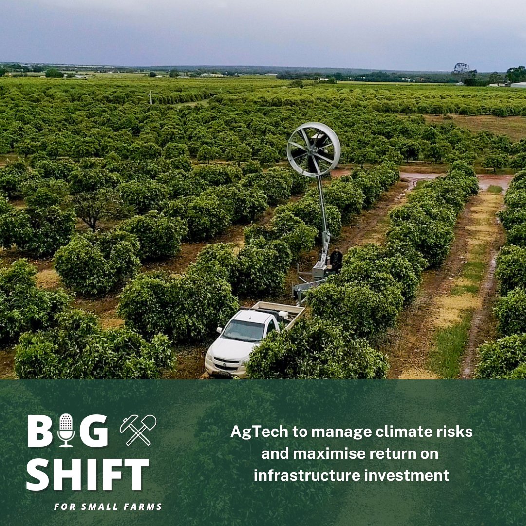 DPI_DigitalAg's tweet photo. We've teamed up with LLS to bring you a special addition of the #TheBigShift Podcast featuring our #FarmerStories . This week's episode is all about how AgTech is used to manage climate risks.
Check it out here: https://t.co/9Esr5bTLKQ
#agtech #climate #agriculture https://t.co/SSO5pH9Ajj