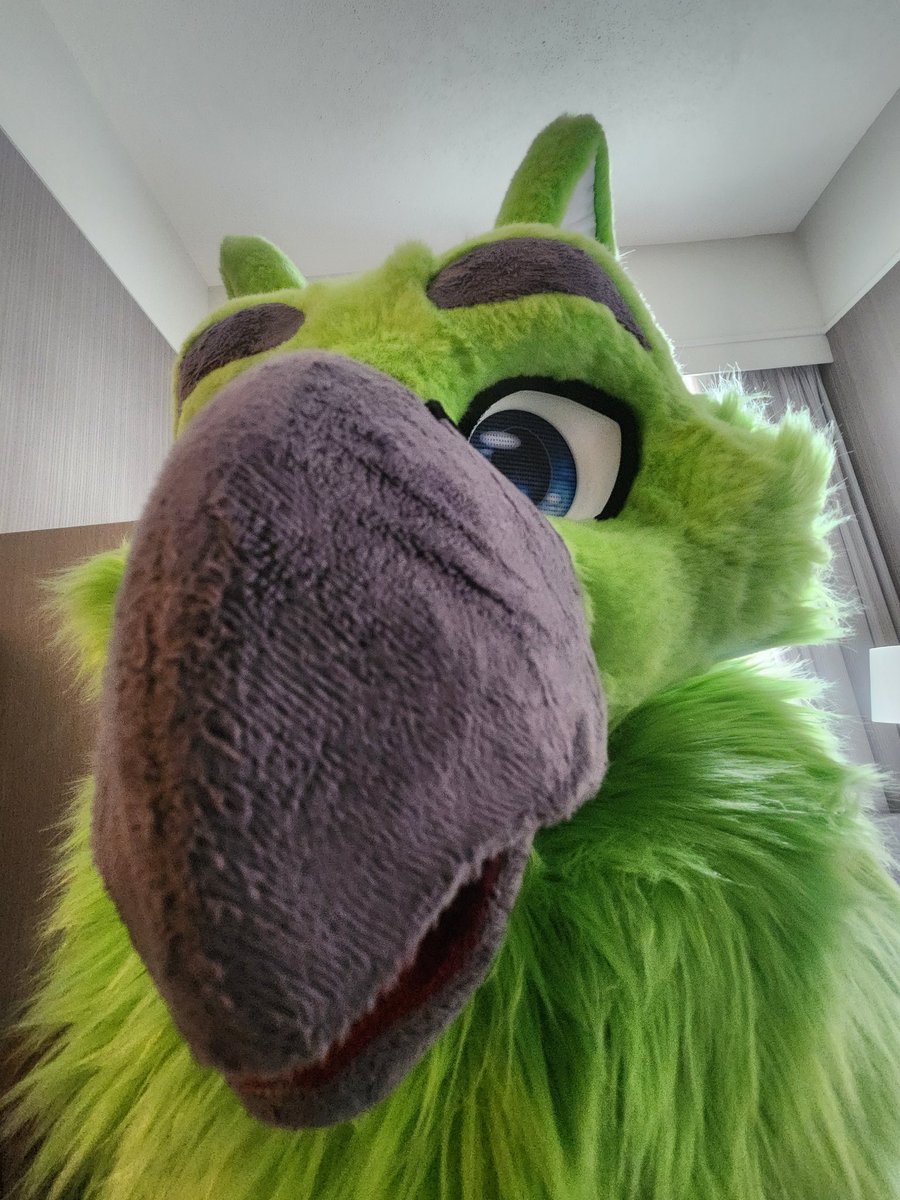 Ventura The Osprey tweet media