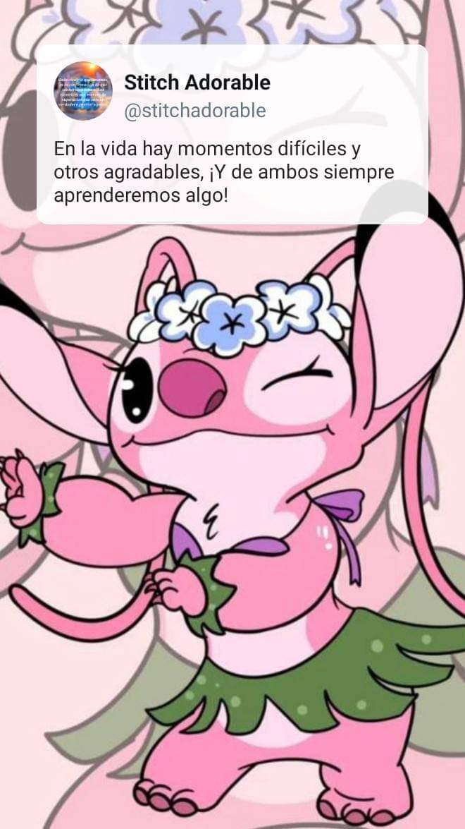 Paola Díaz Espinoza (@paoladazespino) on Twitter photo 