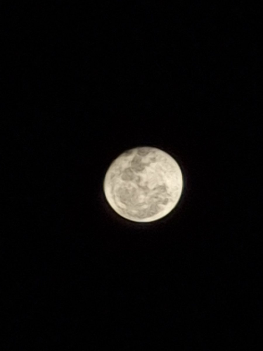 _Pablo_machado's tweet photo. Já viram a lua hj???
.
.
.
#s21 #lua #apaixonado #VAIVERALUA! https://t.co/Yg46OPFsh8