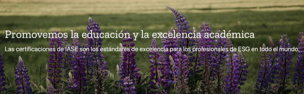 🟢En #IASE nuestra misión es #certificar; sin embargo, nuestra tarea es apoyada por la participación con medios para promover la #sostenibilidad, así como contar con alianzas que nos permitan crecer mutuamente.

Conoce nuestro proyecto: mx.iase-international.org #EconomíaSostenible