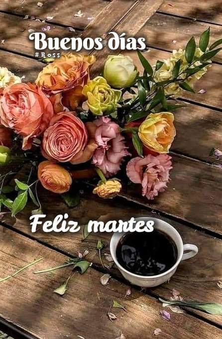 Buenas tardes que tengan un excelente día
