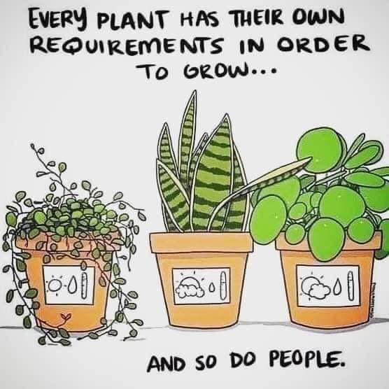 Help A Teacher tweet media