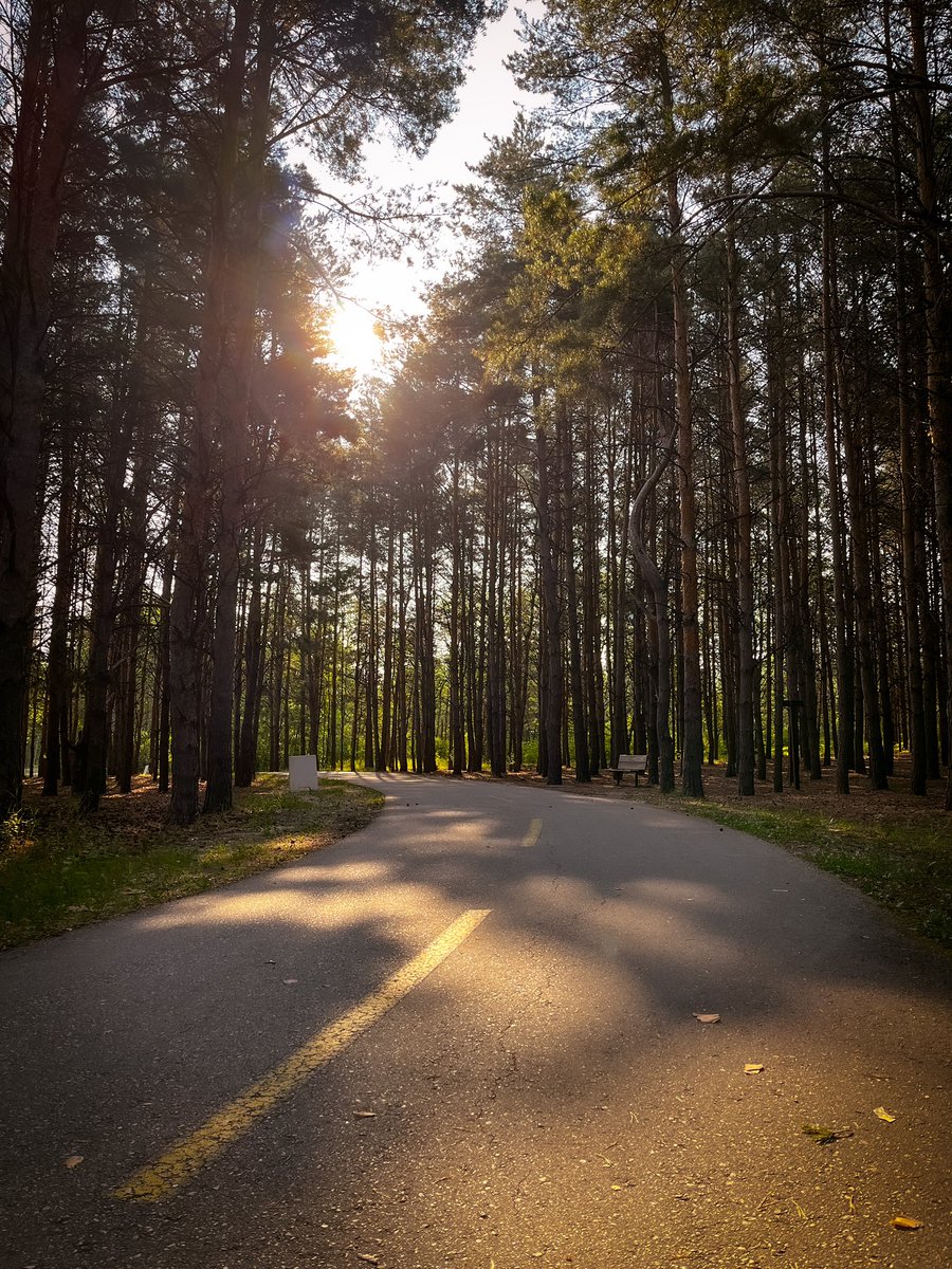 Beautiful morning runs at Birds Hill Provincial park this week. @MBGovParks