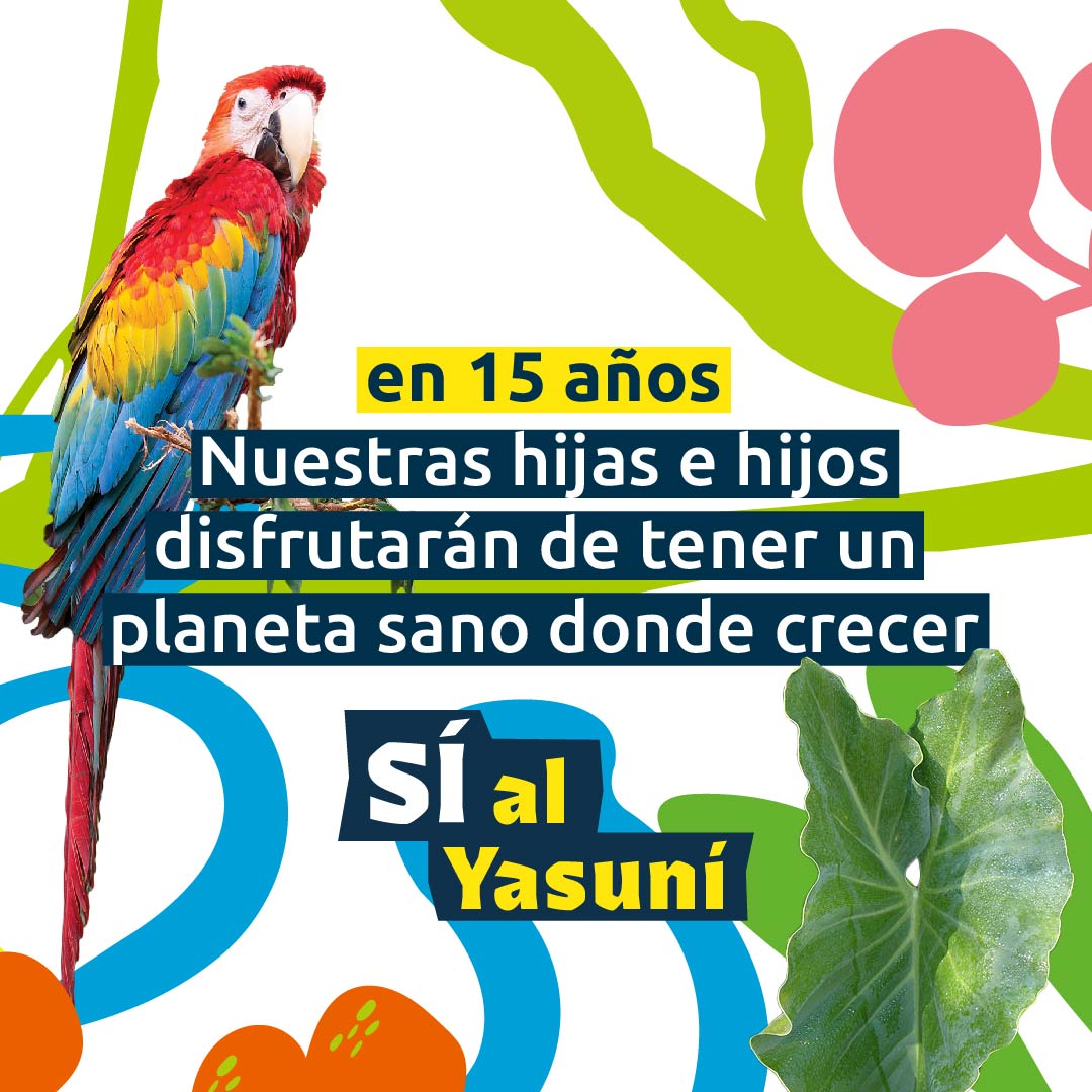 Yasunidos's tweet photo. Proteger al Yasuní nos beneficia a todas y todos, pero sobre todo a futuras generaciones. Las y los ecuatorianos podemos encontrar mejores formas de vivir que destruyendo la naturaleza.

¿Quieres conocer más del Yasuní? Visita nuestra web: https://t.co/zY2a5v25YV

#SÍalYasuní https://t.co/hqj13jRsAl
