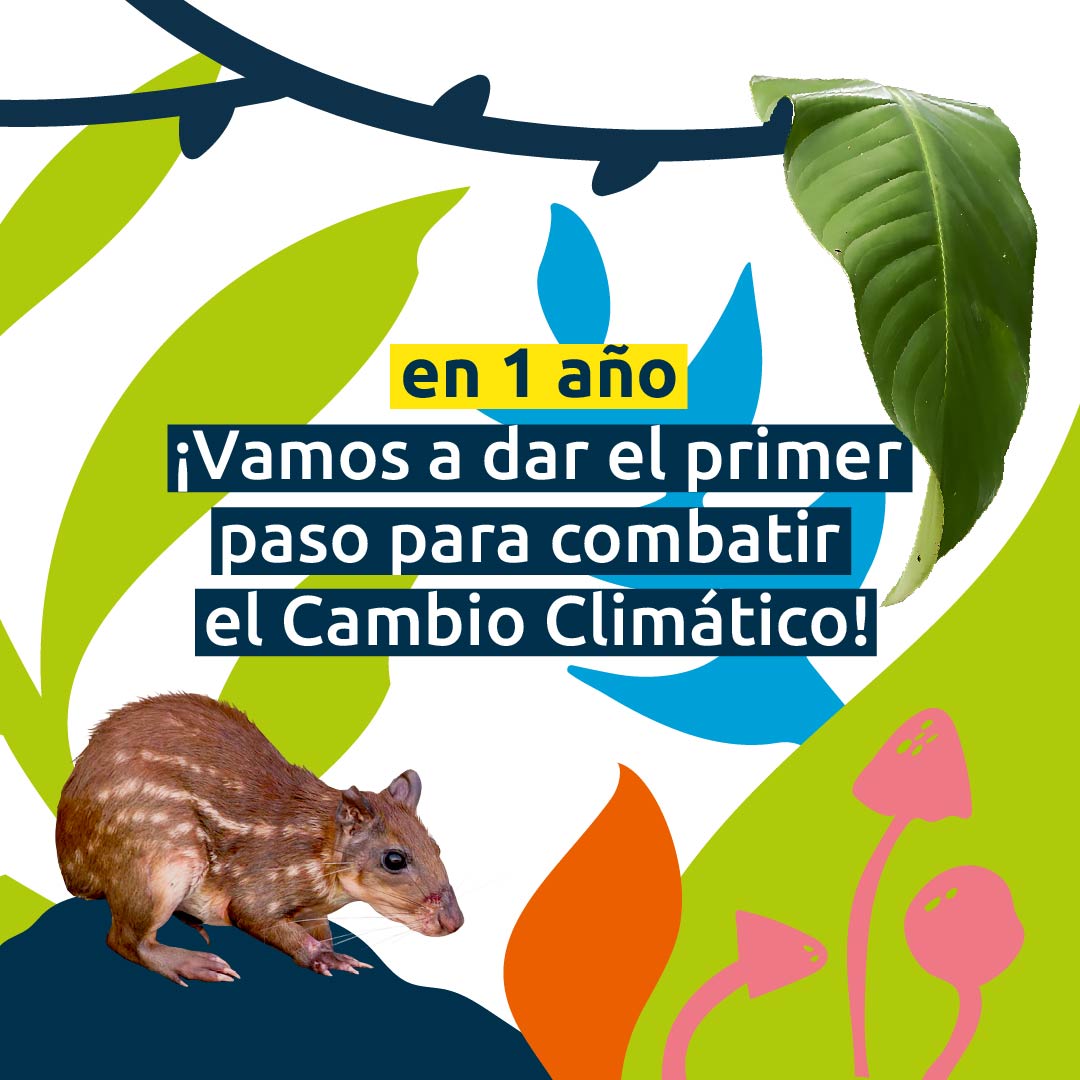 Yasunidos's tweet photo. Proteger al Yasuní nos beneficia a todas y todos, pero sobre todo a futuras generaciones. Las y los ecuatorianos podemos encontrar mejores formas de vivir que destruyendo la naturaleza.

¿Quieres conocer más del Yasuní? Visita nuestra web: https://t.co/zY2a5v25YV

#SÍalYasuní https://t.co/hqj13jRsAl