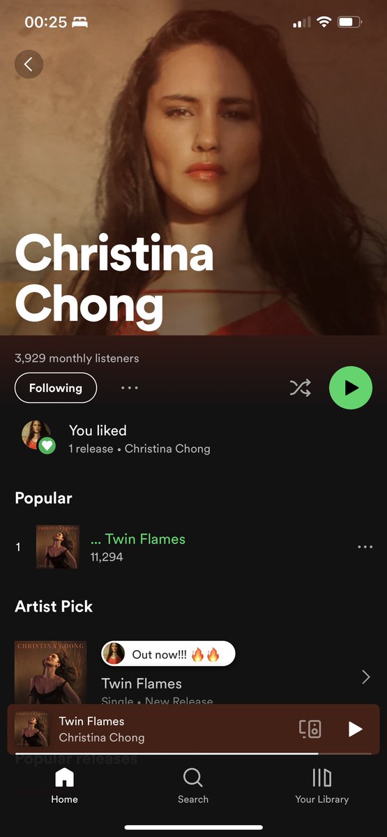 Guys! I’ve only just looked at Spotify and we did it!! You guys are THE BEST!! 🥹🥰 #twinflames 🔥🔥❤️❤️