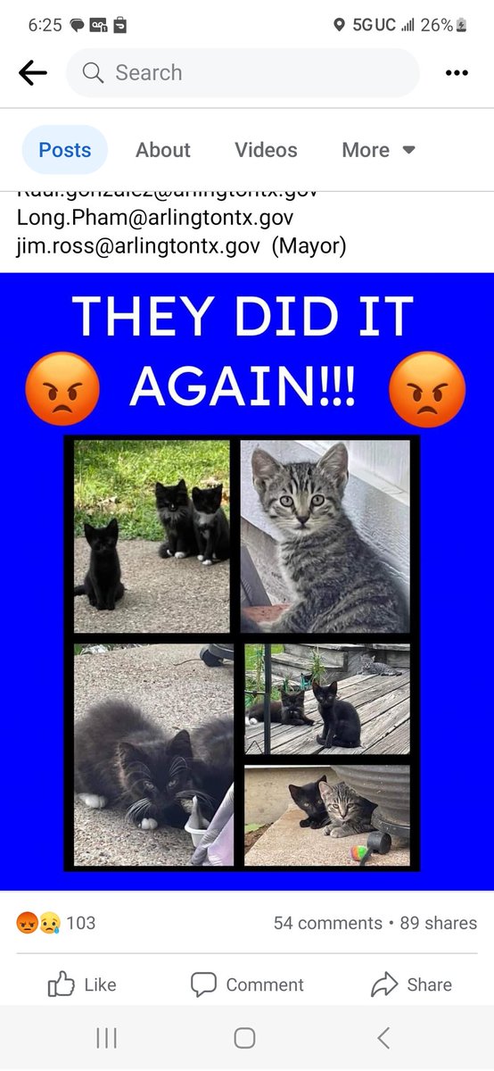 Bridget03's tweet photo. @CityOfArlington 
Five more kittens!!!!!
Animal Cruelty!!! https://t.co/nqbzEJCvjM