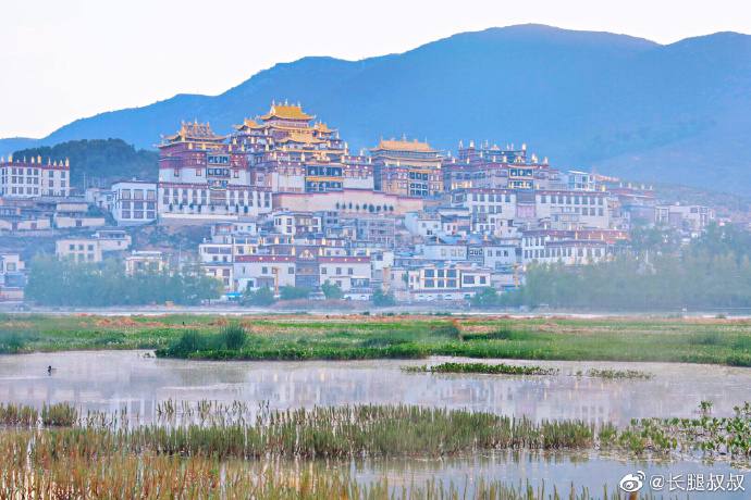 리니지M tweet media