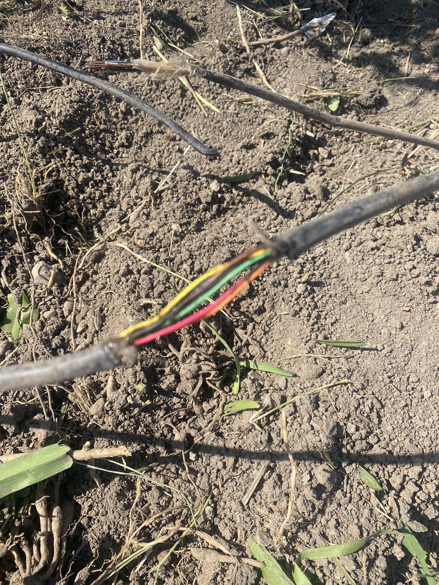 CarbellaC's tweet photo. I was on a roll today in this heat … tilling up some parts of the flower bed … a total mission ..breaking some old roots from plants while holding on for dear life, proud as punch that all this hard work was getting done till this happened , looks like we won’t have internet.. https://t.co/M03g1RLhJt