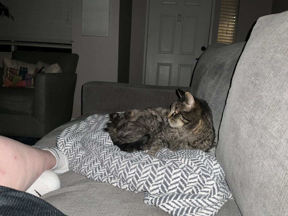 tophersimmons's tweet photo. SILO season finale is cat approved #Silo #itsfuzzy https://t.co/lEzhbtkf6n