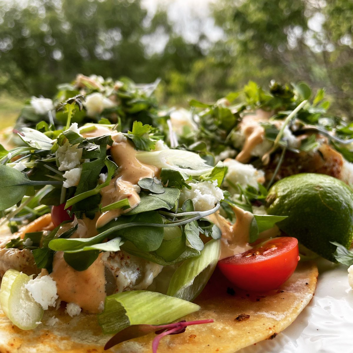 J. Wilson tweet media