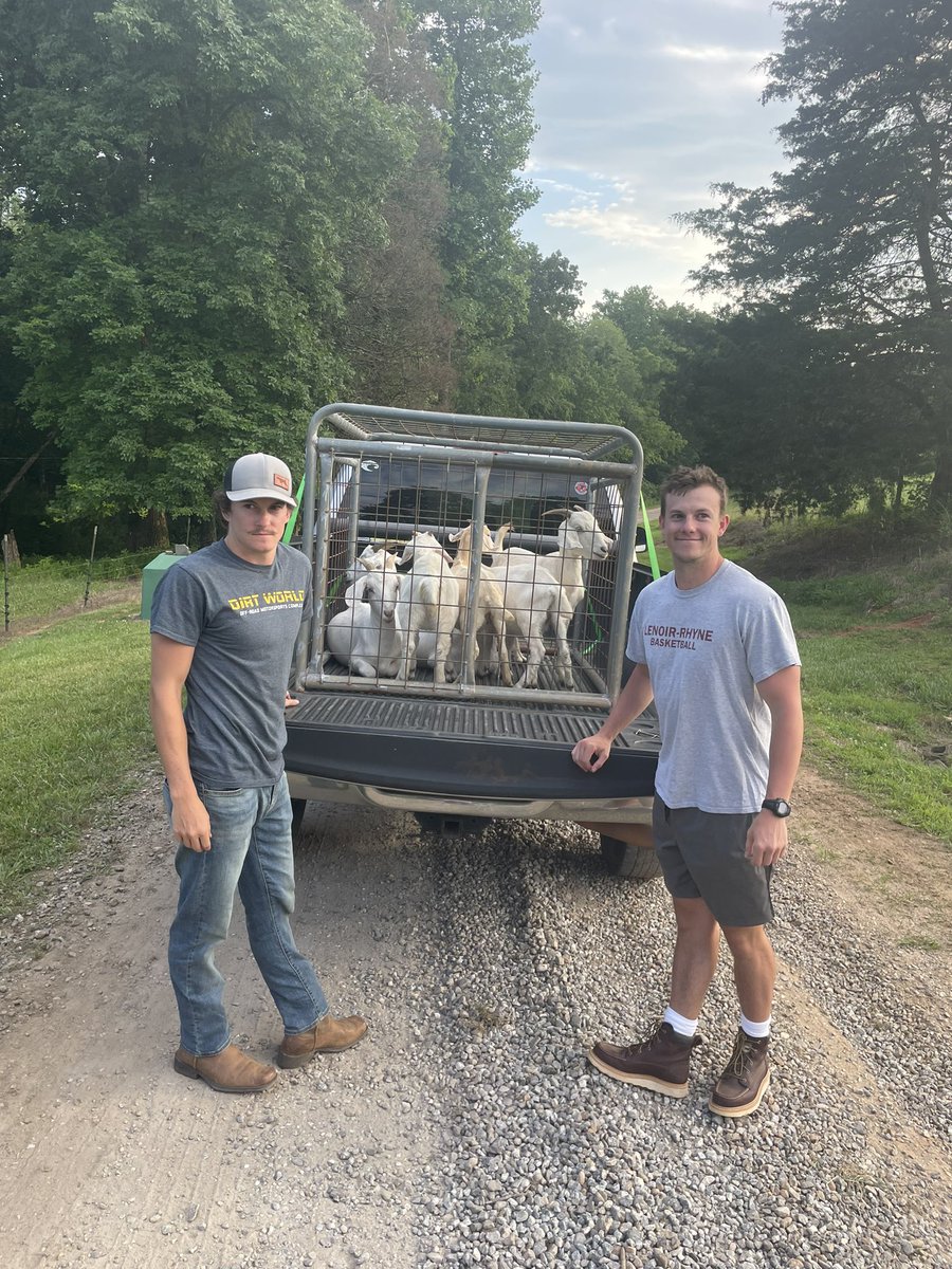 Grant Hodges tweet media