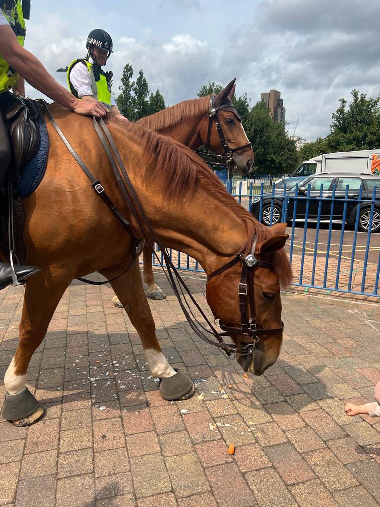 Evelyn Community Store 💙 tweet media