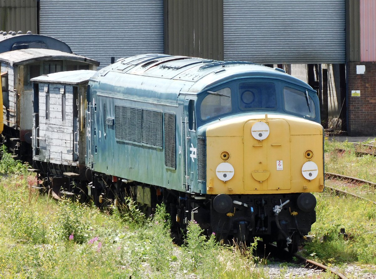 kingy69beard's tweet image. For #MidweePeak here are examples of #class44 #class45  and #class46 courtesy of the Northern heritage tour. D4 is at @midrlybutterley , 45108 at @eastlancsrly  and 46035 aka 97403 IXION at @peakrail1