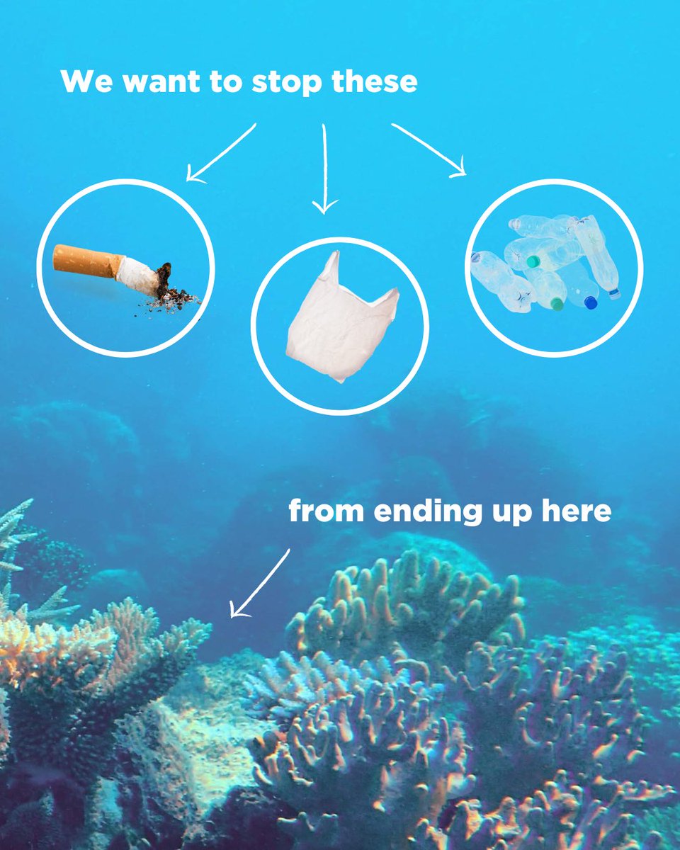 Tanya Plibersek tweet media