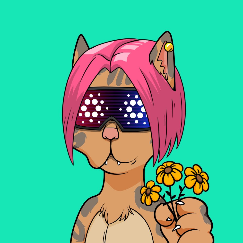 HappyDogBitcoin's tweet photo. @3orovik #bosscat from @BossCatRC is a fantastic handout place. From the discord to weekly live podcast #bosscorner #bosstalk.
#bosscat community is genuinely friendly and adorable to spend time with you. We laughed , joked and serious as well on everything and anything & love cnft https://t.co/vwAtda6K9x