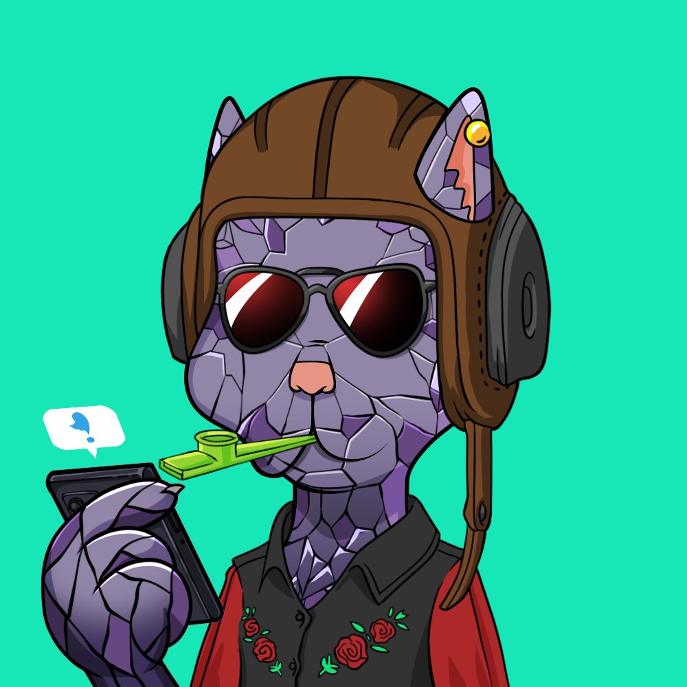 HappyDogBitcoin's tweet photo. @3orovik #bosscat from @BossCatRC is a fantastic handout place. From the discord to weekly live podcast #bosscorner #bosstalk.
#bosscat community is genuinely friendly and adorable to spend time with you. We laughed , joked and serious as well on everything and anything & love cnft https://t.co/vwAtda6K9x