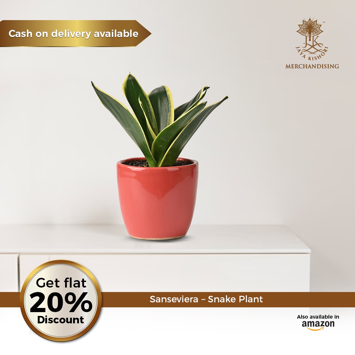 iamjayakishori's tweet photo. Add a touch of elegance to your space with our captivating Sansevieria Plant! 🌱✨
Grab your official Jaya Kishori merchandise NOW!
https://t.co/xgCJVkAmFp
#motivation #iamjayakishori #jayakishori #plant #gifts #SansevieriaPlant #StylishSimplicity #CleanAirOasis https://t.co/1s2vJ4U3AK