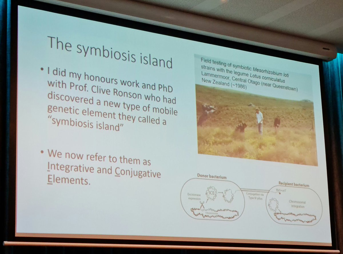 BioMinnie's tweet image. @DrJoshRamsay gave a really interesting talk with 3 small examples of transfer, #regulation and persistence of bacterial Mobile Genetic Elements (a super important research focus area!) #2023ASM