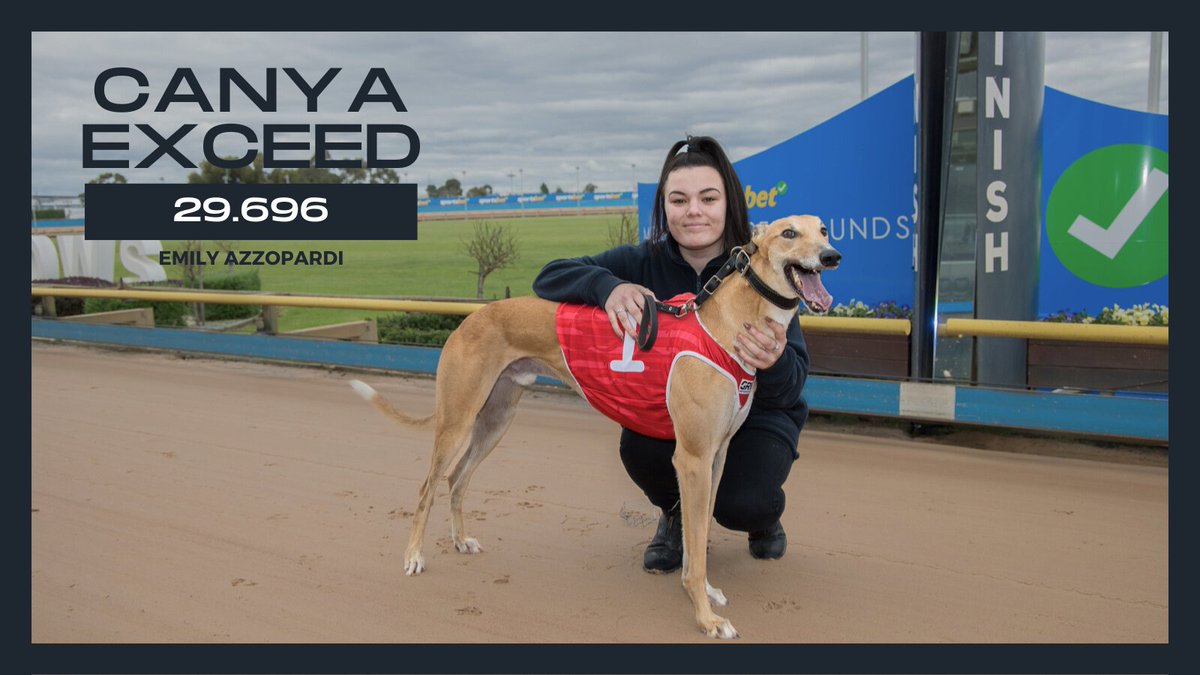 Canya Exceed set The Meadows track alight today with a 29.696 run in Race 8 🔥

Will the Emily Azzopardi runner head towards the Group 1 KCR Pet Transport Maturity Classic on July 22?

Maturity Market | bit.ly/MaturityMarket
