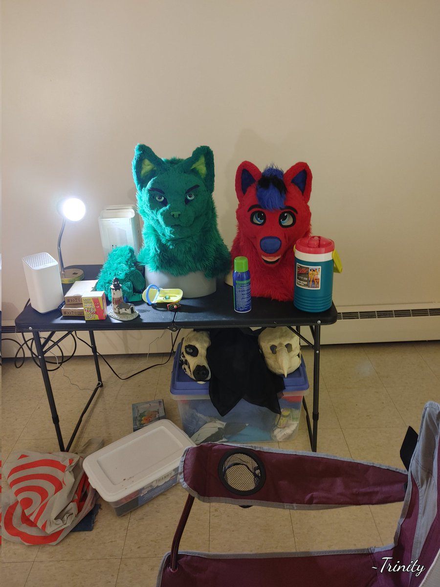 whitewolfangel7's tweet photo. @Heavensfluff777 we have finally moved into our first Apt!!! Were still furnishing things but soon I can get back to fur suit building! So best news so far of the yr for us!! #firstapt https://t.co/zyQygTZnkh