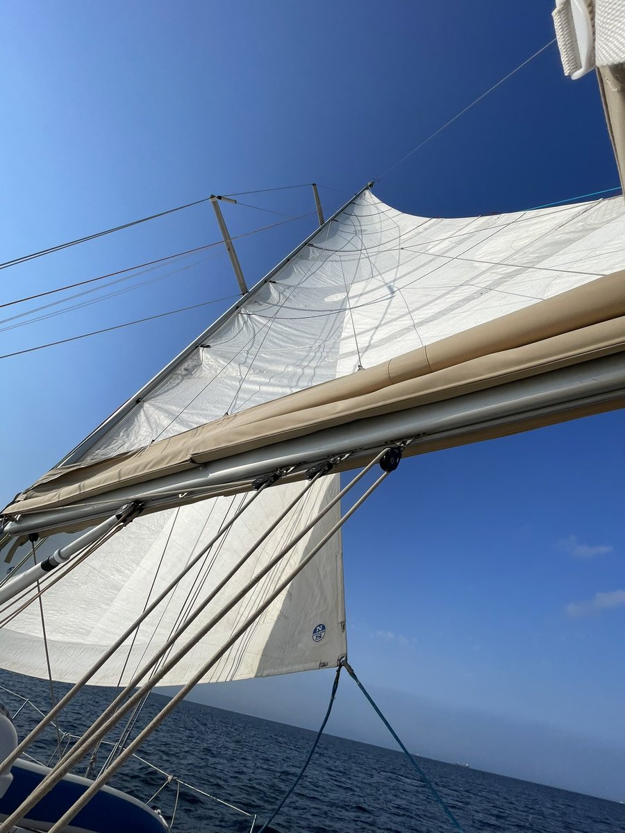 inelsamo's tweet photo. Sails up!! 🙌 #sailinginelsamo https://t.co/p47U3rgEhj