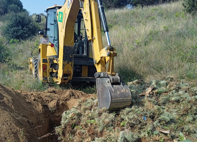xarxadeparcs's tweet photo. 🌿 #ForestalCatalana elimina més de 3.500 peus de plantes exòtiques invasores al Parc de la Serralada Litoral; en total, 3.371 peus de Cyllindropuntia pallida (clavellina) i 258 d'Opuntia sp. (figuera de moro)
👉 https://t.co/cJpH7AO8uG
#ParcLitoral #ConservacióBiodiversitat