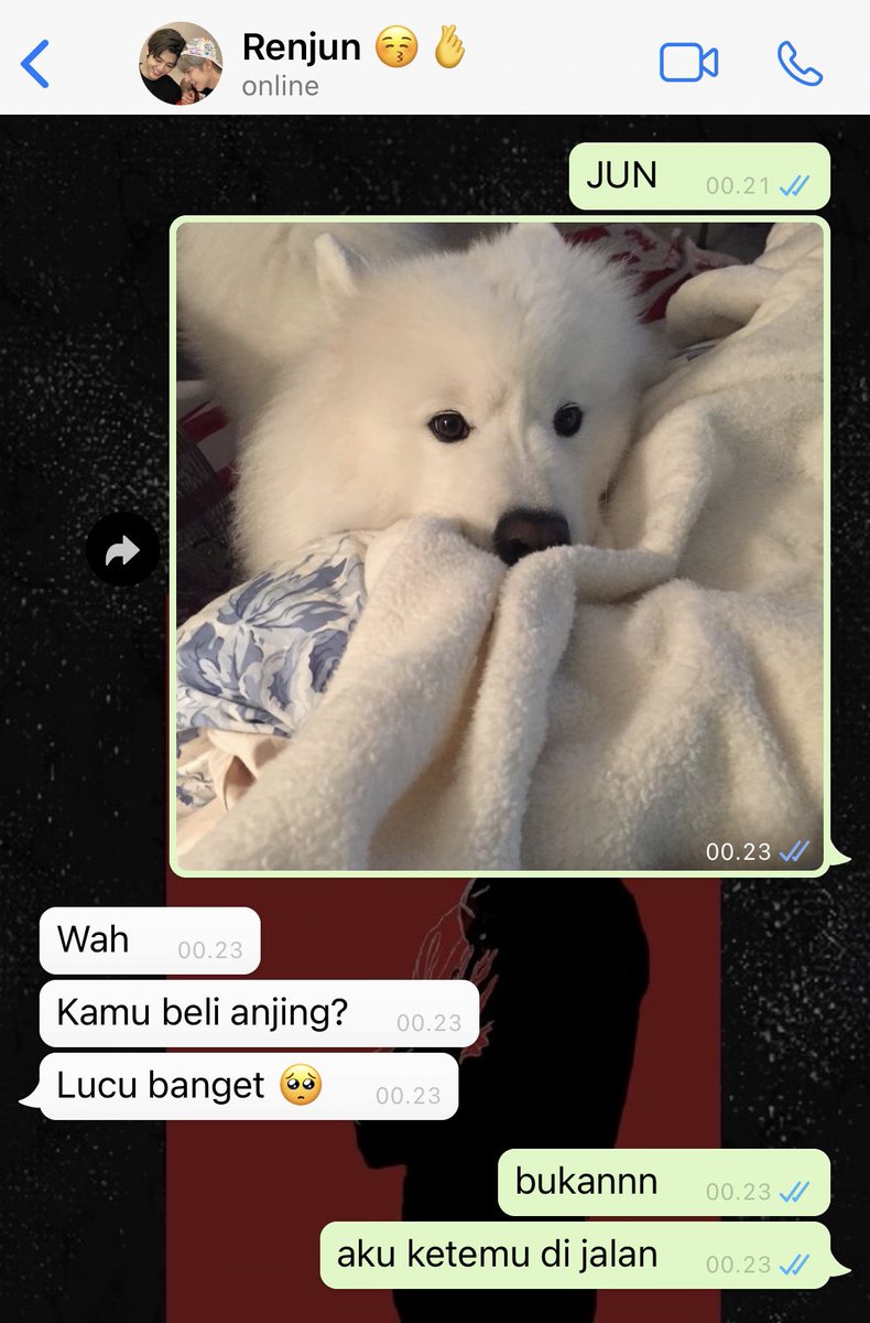 lilkuromic's tweet photo. nohyuck au — hybrid

SAMMY: "The Samoyed" https://t.co/OtjdY1ZbHG