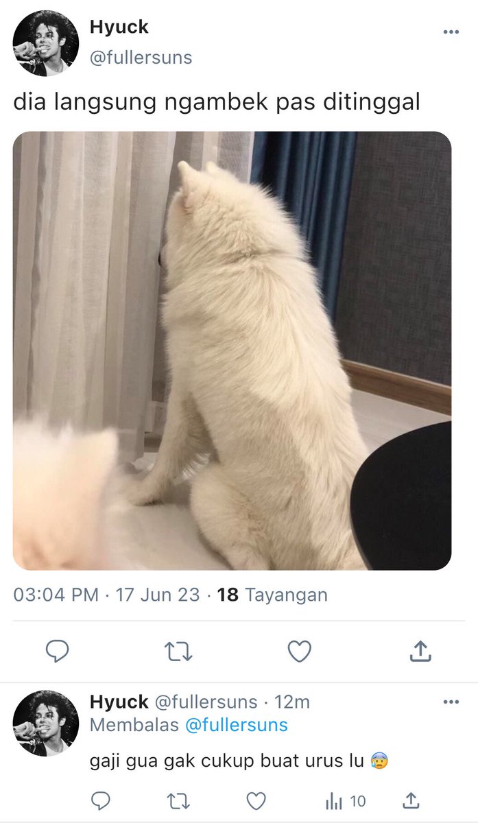 lilkuromic's tweet photo. nohyuck au — hybrid

SAMMY: "The Samoyed" https://t.co/OtjdY1ZbHG