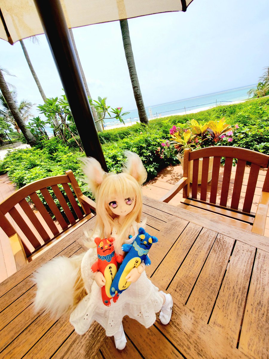 OoCIRCUSoO's tweet photo. #沖縄観光
#MoonBeach
#うちのこ可愛い https://t.co/bRQxuysOhZ