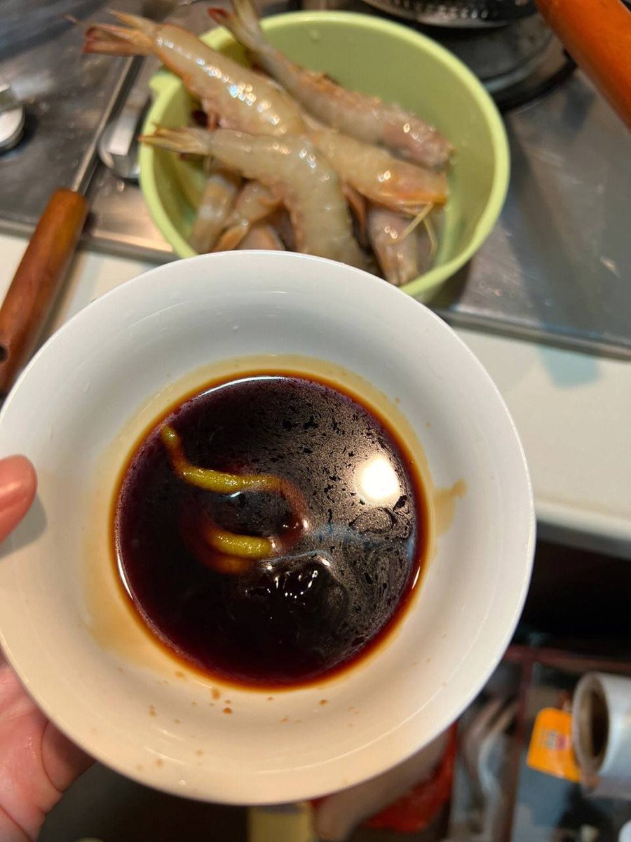 Maydelmacat's tweet photo. made dinner today https://t.co/4vfupnAnSN