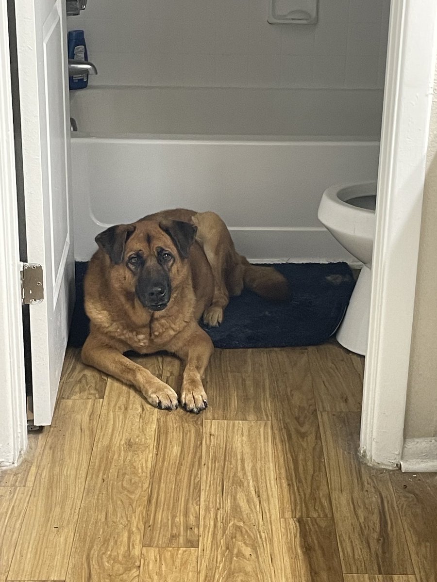 Sanctuary in the presence of fireworks.