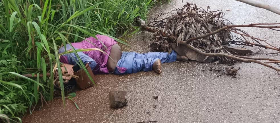 pabiedu1's tweet photo. @TiborPNagyJr As the #USA celebrates #July4th  the people of #SouthernCameroons #Ambazonia are being killed by @EmmanuelMacron &amp; #Biya. The #Genocide continues. @PressSec @USEmbYaounde @SenateForeign @POTUS @VP @SamanthaJPower @SenatorRisch @USAmbUN @SecBlinken @MSNBC @cnnbrk @BBCWorld https://t.co/DEok1zNRDQ